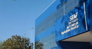 Imagem ilustrativa da notícia: Seaf abre processo seletivo com 20 vagas temporárias no Pará