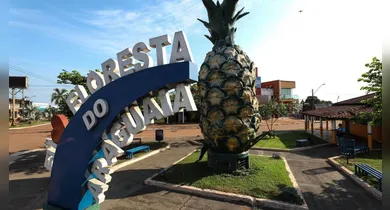 Imagem ilustrativa da notícia: Floresta do Araguaia celebra 30ª edição do Festival do Abacaxi