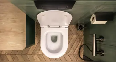 Imagem ilustrativa da notícia: Por que algumas pessoas colocam sal no vaso sanitário antes de dormir