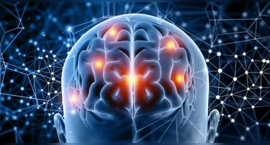 Imagem ilustrativa da notícia: Ciência aponta pior hábito para envelhecimento cerebral; saiba qual!