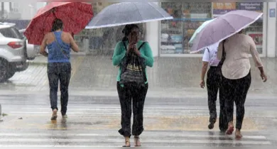 Imagem ilustrativa da notícia: Defesa Civil emite alerta severo de chuvas intensas nesta sexta-feira (08)