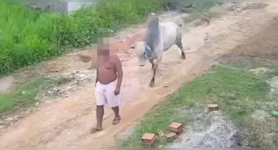 Imagem ilustrativa da notícia: Vídeo: homem é arremessado após ataque de boi solto em rua