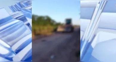 Imagem ilustrativa da notícia: Cachorro morre atropelado por trator no Pará e caso gera revolta