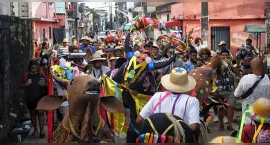 Imagem ilustrativa da notícia: Mostra Ecocultural Tucunduba Verde e Resiliente revela periferia de Belém