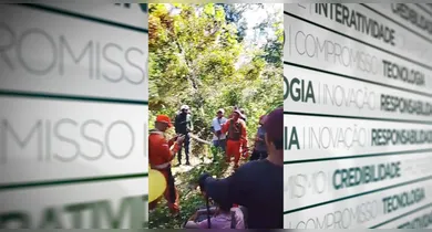 Imagem ilustrativa da notícia: Caçador desaparece em área de mata de cidade do Marajó