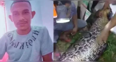 Imagem ilustrativa da notícia: Homem é devorado vivo por píton de 7 metros; veja