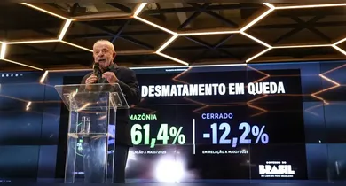 Imagem ilustrativa da notícia: Desmatamento na Amazônia cai em mais de 60% em maio de 2026