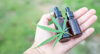 Imagem ilustrativa da notícia: Projeto apoia mães e crianças atípicas tratadas à base de cannabis