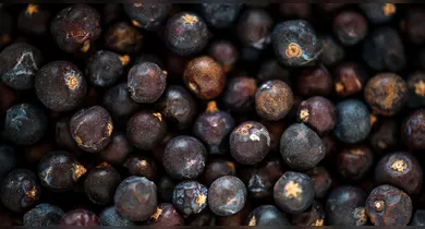 Imagem ilustrativa da notícia: Senado aprova regulamentação da profissão de manipulador de açaí