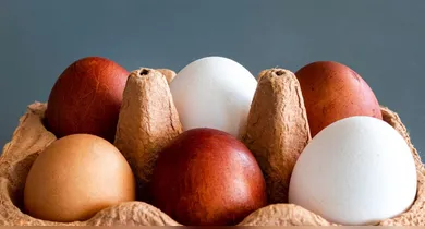 Imagem ilustrativa da notícia: Conheça a verdade sobre ovos brancos e marrons e faça escolhas inteligentes