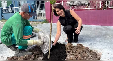 Imagem ilustrativa da notícia: Prefeitura de Belém inicia o plantio de espécies nativas na cidade