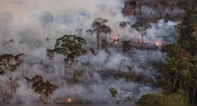 Imagem ilustrativa da notícia: El Niño pode prolongar estiagem no Pará e elevar temperaturas a 40°C