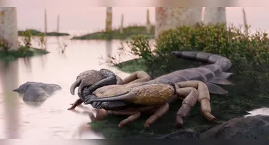 Imagem ilustrativa da notícia: Cientistas descobrem escorpião do tamanho de um cachorro