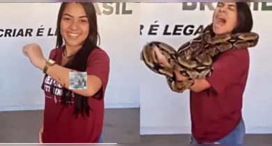 Imagem ilustrativa da notícia: Jiboia morde estudante e vídeo viraliza nas redes