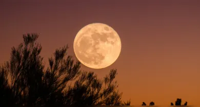Imagem ilustrativa da notícia: Lua de Morango ilumina o céu hoje (29/06); veja como observar