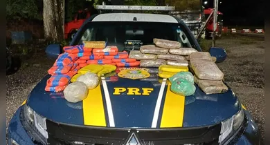 Imagem ilustrativa da notícia: PRF apreende 41 kg de drogas na BR-316 no Pará