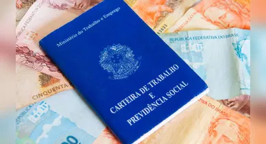Imagem ilustrativa da notícia: Projeto prevê piso de R$ 10 mil para duas profissões; veja quais