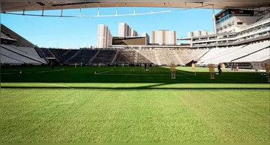 Imagem ilustrativa da notícia: Gramado do Corinthians recebe críticas e preocupa o Remo