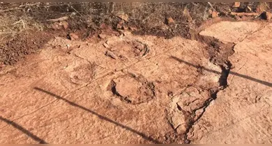 Imagem ilustrativa da notícia: Cientistas encontram pegada gigante de dinossauro na Paraíba