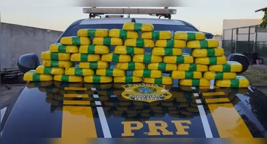 Imagem ilustrativa da notícia: PRF apreende 42 kg de cocaína escondidos em painel de carro, no Pará