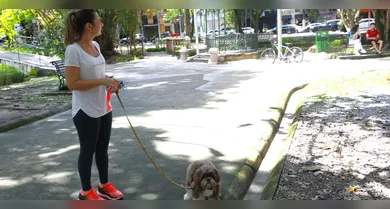 Imagem ilustrativa da notícia: Muito calor? Veja cuidados para evitar a desidratação de pets