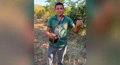 Imagem ilustrativa da notícia: Cobra 'mortal' invade praia e mobiliza guarda; veja o desfecho!