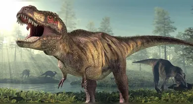 Imagem ilustrativa da notícia: Pesquisadores desvendam mistério dos braços curtos do T-Rex