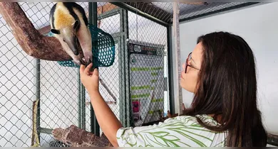 Imagem ilustrativa da notícia: Seminário na Ufra discute proteção e manejo da fauna silvestre
