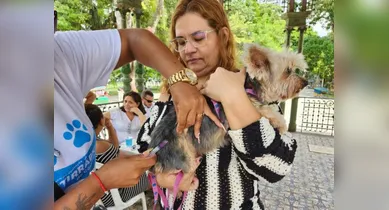 Imagem ilustrativa da notícia: Ação oferece vacinação gratuita para cães e gatos em Belém