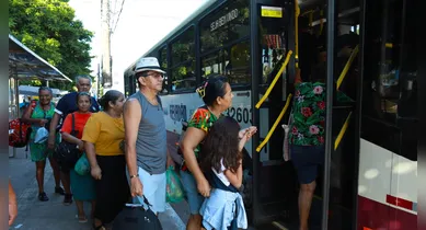 Imagem ilustrativa da notícia: Verão: transporte para Mosqueiro será feito por "Geladões" com 25 ônibus extras