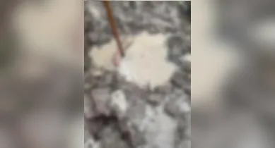 Imagem ilustrativa da notícia: Corpo é encontrado no bairro do Coqueiro em Ananindeua
