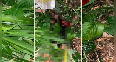 Imagem ilustrativa da notícia: Mulher trans é morta na zona rural de cidade paraense