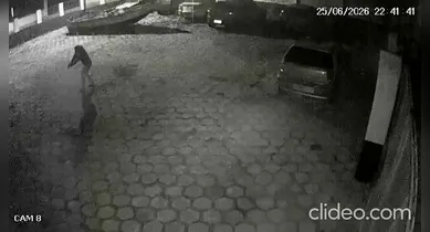 Imagem ilustrativa da notícia: Delegado luta com homem invadiu delegacia para resgatar presa