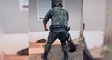 Imagem ilustrativa da notícia: VÍDEO: rato gigante invade casa e assusta moradores; Veja!