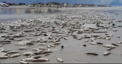 Situações semelhantes já foram registradas em anos anteriores na mesma região, sobretudo durante o inverno amazônico.