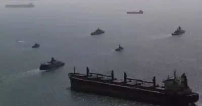 Estratégia de proteção do Estreito de Ormuz poderá contar com golfinhos