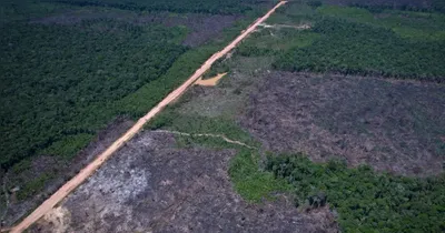 Segundo o Imazon, a Amazônia registrou 1.145 quilômetros quadrados de floresta derrubada entre janeiro e junho de 2026, resultado 10% menor que o do mesmo período do ano passado.