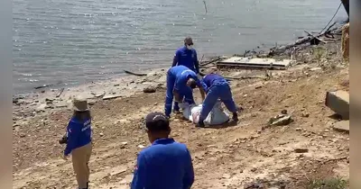 Equipes da Polícia Militar, Polícia Científica e IMOL realizaram a remoção dos corpos às margens do Rio Maguari.
