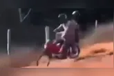 Motociclista perde o controle durante o "grau" e desceu a ribanceira
