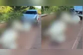 Motorista foi liberado após pagar fiança.