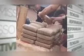 Acidente em Medicilândia, no Pará, expõe carga de drogas; motociclista é procurado pela polícia.