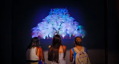 Imagem ilustrativa da notícia: Mostra no Museu da UFPA narra o Brasil pelo olhar do Norte e Nordeste