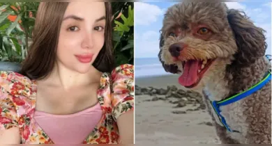 Imagem ilustrativa da notícia: Advogada morre ao proteger cachorro durante terremoto na Colômbia