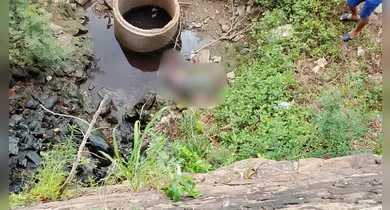 Imagem ilustrativa da notícia: Homem morre após queda de 5 metros na orla de Tucuruí