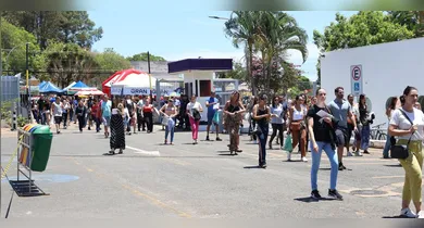 Imagem ilustrativa da notícia: Concurso público segue em período eleitoral? Saiba o que diz o TSE