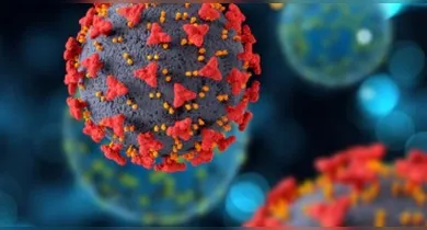 Imagem ilustrativa da notícia: Surto de ebola no Congo pode ter mutação do vírus, diz autoridades