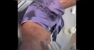 Imagem ilustrativa da notícia: Idoso morre após ataque de abelhas em cidade do Pará