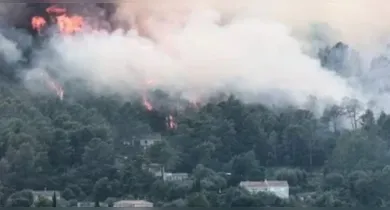 Imagem ilustrativa da notícia: Incêndio florestal na França faz 1.200 pessoas deixarem área