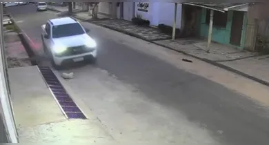 Imagem ilustrativa da notícia: Motorista atropela cachorro de propósito em rua de Abaetetuba, no Pará