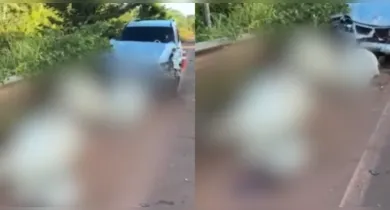 Imagem ilustrativa da notícia: Caminhonete atinge gado e deixa quatro animais mortos no Pará